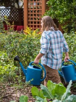 French Blue Watering Can -Plant Sale Shop 06341 1390 tif