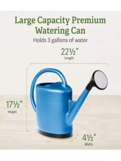 New Products -Plant Sale Shop 06341 2