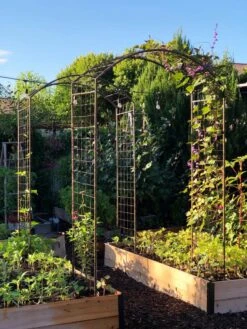 New Products -Plant Sale Shop 38690 02IN tif