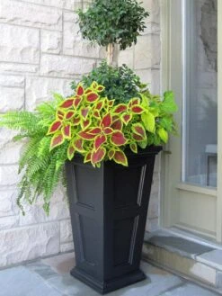 Fairfield Self-Watering Tall Patio Planters, 28” -Plant Sale Shop 39 342 103V tif