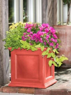 Fairfield Self-Watering Square Planter, 20” X 20” -Plant Sale Shop 39 618 08477 tif