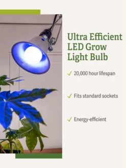 Miracle LED® Grow Light Bulb, Blue -Plant Sale Shop 3 4 crop Miracle Bulb Blue 1