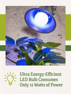 Miracle LED® Grow Light Bulb, Blue -Plant Sale Shop 3 4 crop Miracle Bulb Blue 2