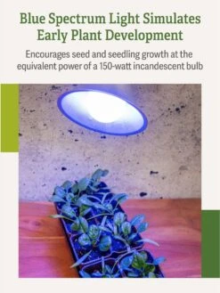 Miracle LED® Grow Light Bulb, Blue -Plant Sale Shop 3 4 crop Miracle Bulb Blue 3