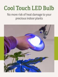 Miracle LED® Grow Light Bulb, Blue -Plant Sale Shop 3 4 crop Miracle Bulb Blue 4