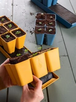 Coco Coir Seed Starting Mix 5 Coco Coir Seed Starting Mix -Plant Sale Shop 40 135 6192