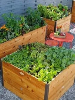 Elevated Raised Bed, 4' X 4' -Plant Sale Shop 8586748 014