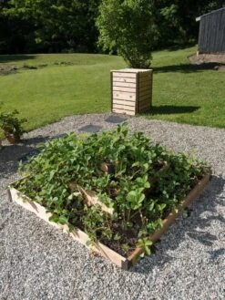 3-Tier Strawberry Bed -Plant Sale Shop 8586752 2341 tif