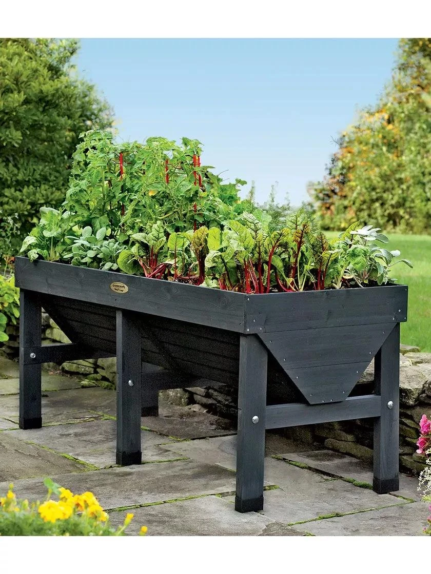 VegTrug® Patio Garden 3 VegTrug® Patio Garden - Image 3