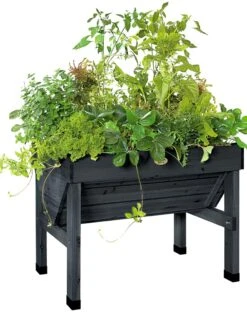 Compact VegTrug® Patio Garden -Plant Sale Shop 8586919 001 tif
