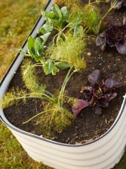 Birdies™ Modular Metal Raised Bed -Plant Sale Shop 8586930 6019 tif