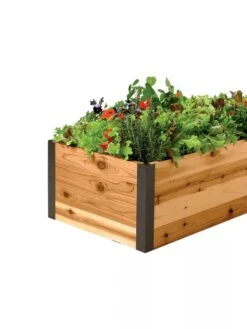 Deep Root Raised Beds, 14" Deep 2' Wide -Plant Sale Shop 8587798 001E 1