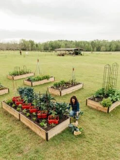 Deep Root Raised Beds, 14" Deep 4' Wide -Plant Sale Shop 8587813 505 tif