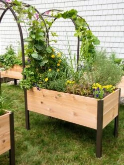 2’ X 4’ Arch Trellis For Planter Boxes -Plant Sale Shop 8587823 0490