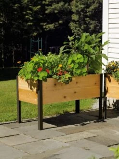 Elevated Planter Box, 2' X 4' -Plant Sale Shop 8587823 704 tif