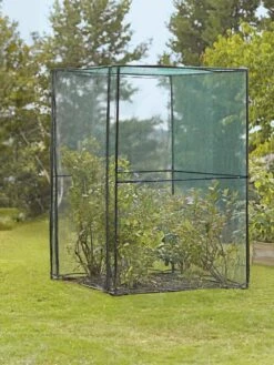 Crop Cage, 4' X 4' -Plant Sale Shop 8587832 149 tif