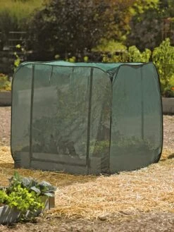 Pest Control Pop-Ups -Plant Sale Shop 8587859 026 tif