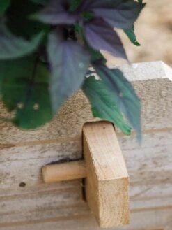 Farmstead Cedar Raised Garden Beds, 2' -Plant Sale Shop 8588144 12V tif