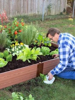 Composite Raised Bed With 1" Boards, 11" -Plant Sale Shop 8588274 02V tif