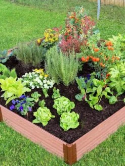 Composite Raised Bed With 1" Boards, 11" -Plant Sale Shop 8588274 03V tif