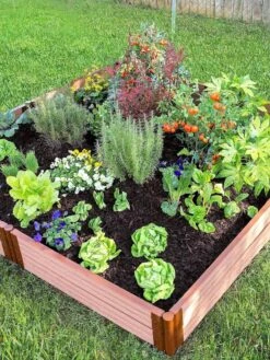 Classic Sienna Composite Raised Bed, 11" High With 2" Board -Plant Sale Shop 8588280 05V tif