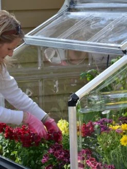 Canopia® By Palram Plant Inn™ Raised Bed Greenhouse, 4' X 4' -Plant Sale Shop 8588308 04V tif