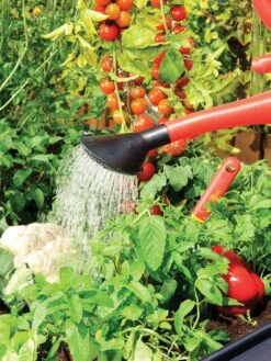 Canopia® By Palram Plant Inn™ Raised Bed Greenhouse, 4' X 4' -Plant Sale Shop 8588308 06V tif