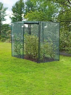 Crop Cage, 4' X 8' -Plant Sale Shop 8589160 002 tif