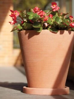 Universal Round Planter Saucers -Plant Sale Shop 8589526 001V tif