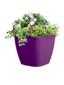 Viva Square Self-Watering Rolling Planter, 17.5" Diameter -Plant Sale Shop 8589778PR 6126 tif