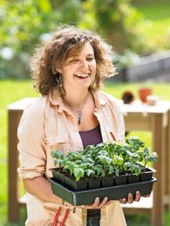 Growease Seed Starter Kit 16 Growease Seed Starter Kit -Plant Sale Shop 8589987 0446 tif