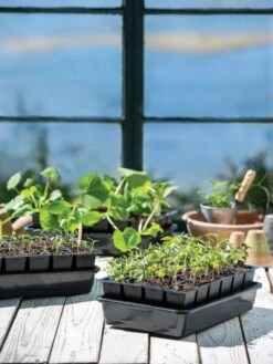 Growease Seed Starter Kit 19 Growease Seed Starter Kit -Plant Sale Shop 8589987 7871 tif