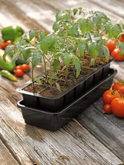 Growease Seed Starter Kit 13 Growease Seed Starter Kit -Plant Sale Shop 8589988 1056 tif