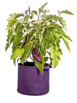 Gardener's Best® Universal Grow Bag 10 Gardener's Best® Universal Grow Bag -Plant Sale Shop 8590024PR 214 tif
