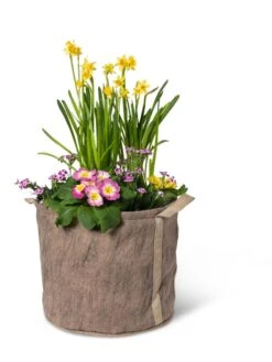 Gardener's Best® Universal Grow Bag 13 Gardener's Best® Universal Grow Bag -Plant Sale Shop 8590024 7307 tif