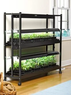 Plant Sale Shop 53 2-Tier SunLite® Garden