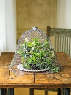 Chicken Wire Cloche -Plant Sale Shop 8590210 1 tif