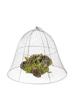 Chicken Wire Cloche -Plant Sale Shop 8590210 675 tif