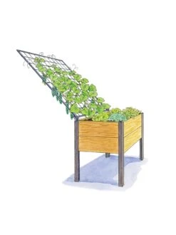 Elevated Planter Box And Space-Maker Pivoting Trellis Set, 2' X 4' -Plant Sale Shop 8590247 SMTrellis 4ft tif