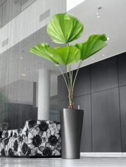 Lechuza® Delta Premium Self-Watering Planters 11 Lechuza® Delta Premium Self-Watering Planters -Plant Sale Shop 8590299 02V tif