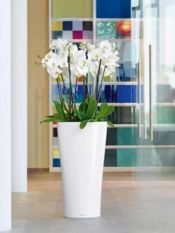 Lechuza® Delta Premium Self-Watering Planters