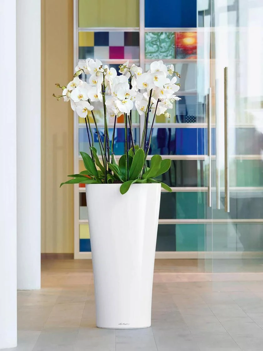 Lechuza® Delta Premium Self-Watering Planters 1 Lechuza® Delta Premium Self-Watering Planters