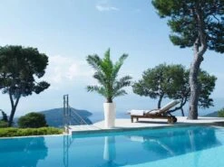 Lechuza® Delta Premium Self-Watering Planters 10 Lechuza® Delta Premium Self-Watering Planters -Plant Sale Shop 8590299 04V tif