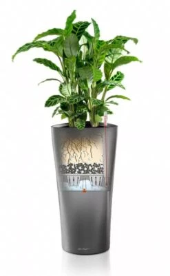 Lechuza® Delta Premium Self-Watering Planters 8 Lechuza® Delta Premium Self-Watering Planters -Plant Sale Shop 8590299 05V tif
