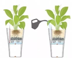 Lechuza® Delta Premium Self-Watering Planters 9 Lechuza® Delta Premium Self-Watering Planters -Plant Sale Shop 8590299 07V tif