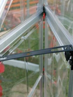 Canopia® By Palram Snap & Grow Greenhouses -Plant Sale Shop 8591043 04V tif 1