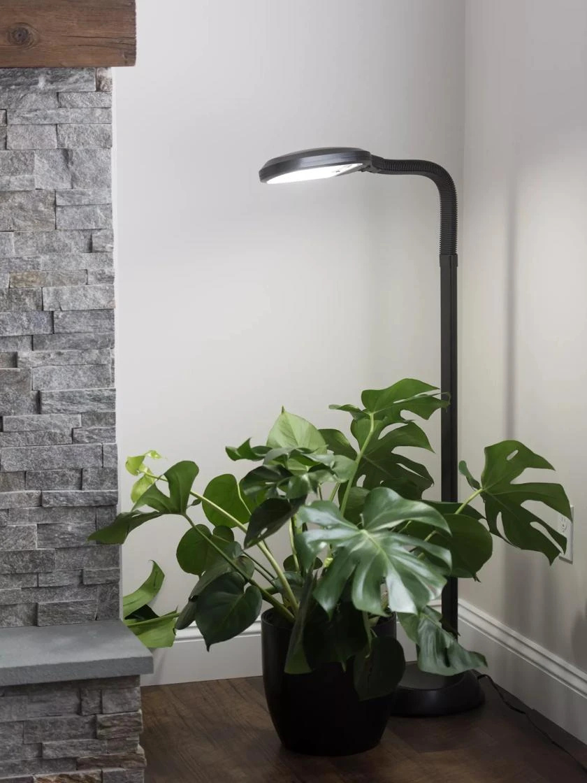 Agrobrite Floor Plant Lamp 1 Agrobrite Floor Plant Lamp