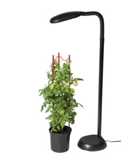 Agrobrite Floor Plant Lamp 4 Agrobrite Floor Plant Lamp -Plant Sale Shop 8592053 1698z tif