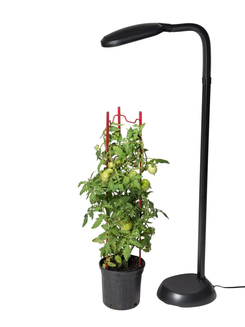 Agrobrite Floor Plant Lamp 2 Agrobrite Floor Plant Lamp - Image 2