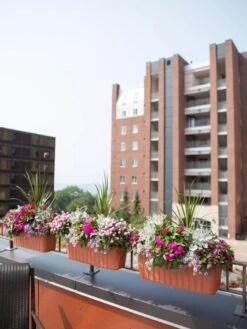 Adjustable Self-Watering Railing Planter, 24" 10 Adjustable Self-Watering Railing Planter, 24" -Plant Sale Shop 8592173TC 2383 tif